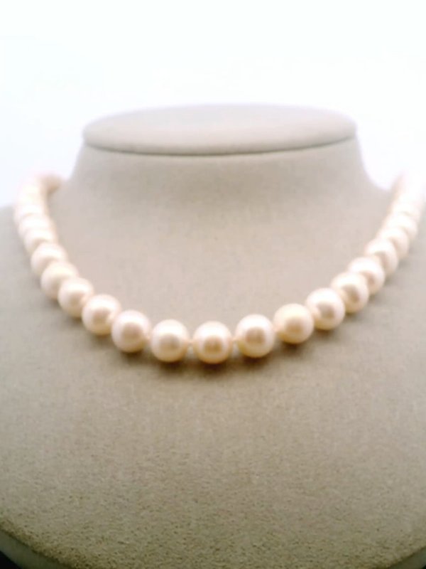 Freshwater Pearl Necklace (8-9mm Oval)